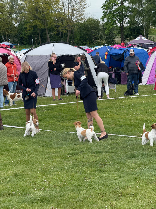 Rundsyet læder udstillingsline - Nordicbands.dk