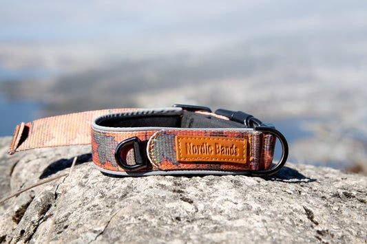 Autumn Illusion - Nordicbands.dk