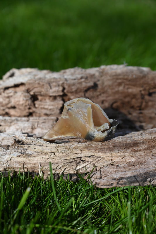 Okseklove - Nordicbands.dk