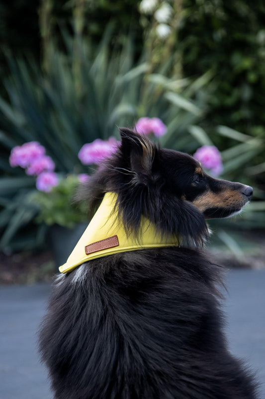 Hold afstand bandana Bandana Nordicbands.dk